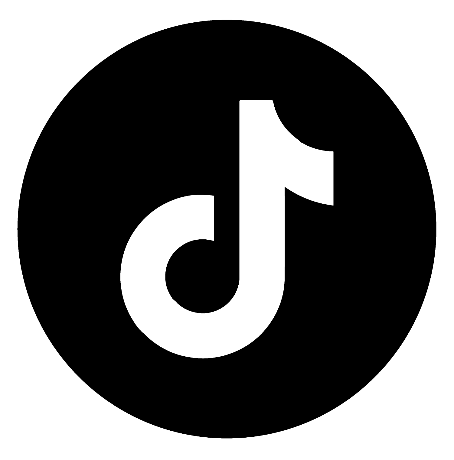 logo tiktok